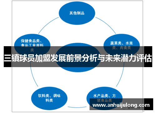 三镇球员加盟发展前景分析与未来潜力评估