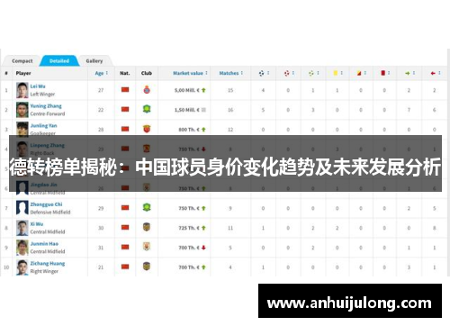 德转榜单揭秘：中国球员身价变化趋势及未来发展分析